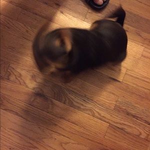 Meet your Posher, Laura